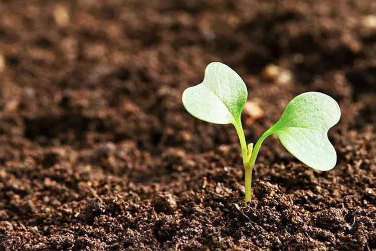 建筑垃圾再生利用全新解決方案,8大用途隨心選!